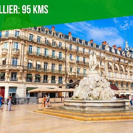 La Bulle - Parking Gratuit En Souterrain - 2 Mins Du Palais Des Papes - Clim Ac - Wifi Apartman Avignon Kültér fotó